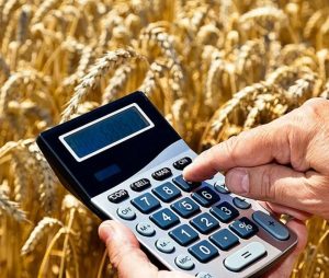 Минсельхоз заявил, что выделение АПК 57,5 млрд руб. закроет потребности в льготных кредитах на 2024 г.